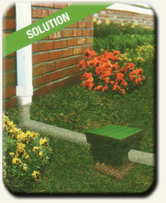 Drainage Solution