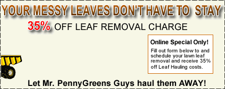 Leaf removal services PennyGreen leaf removal services